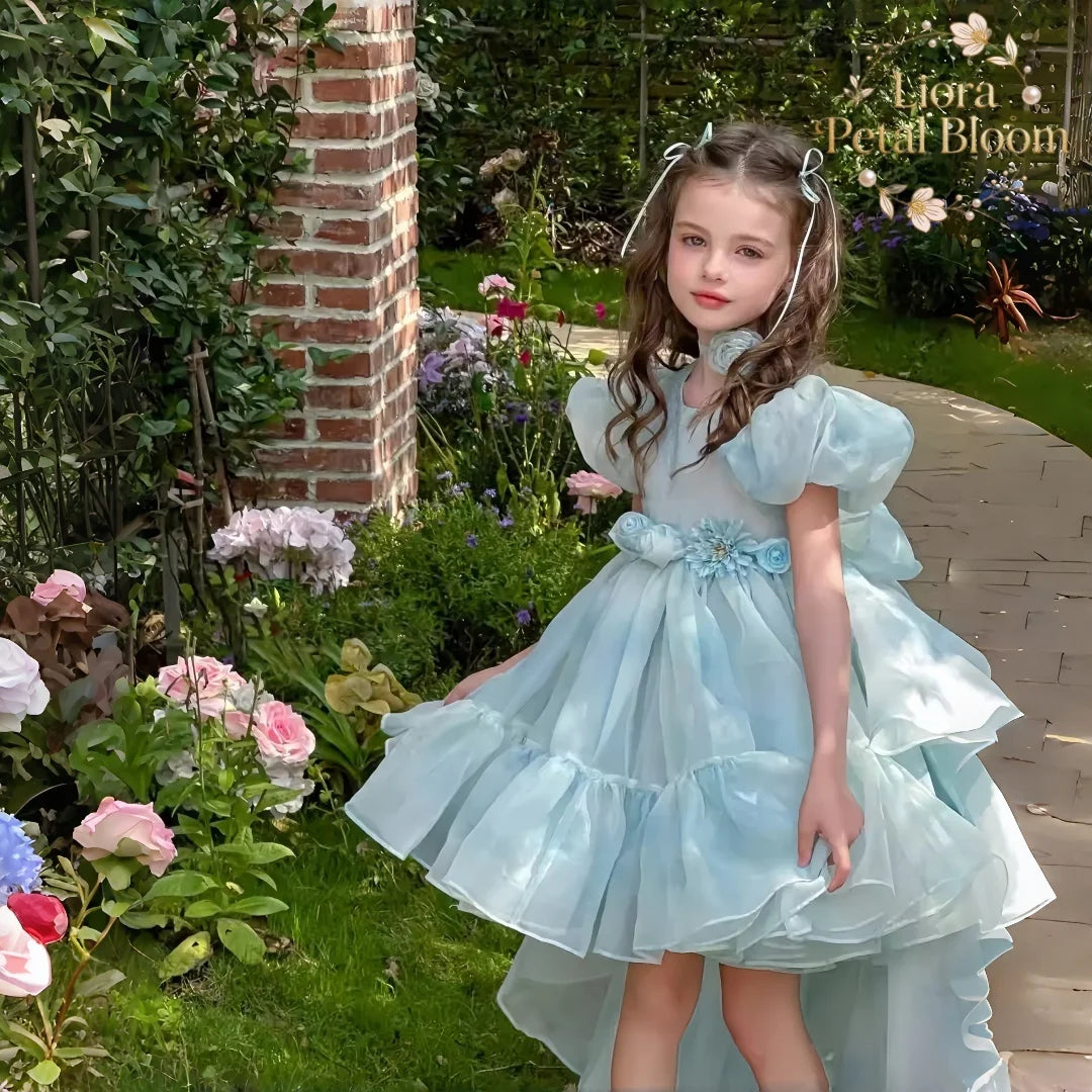 Blue Tulle Gown  Girls' Bow Party Dress Girls' Formal Wear Flower Girl Dress Girls' Princess Dress
