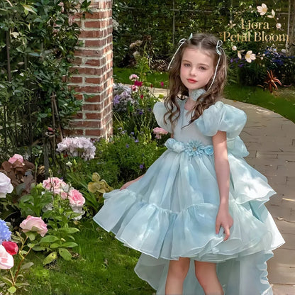 Blue Tulle Gown  Girls' Bow Party Dress Girls' Formal Wear Flower Girl Dress Girls' Princess Dress