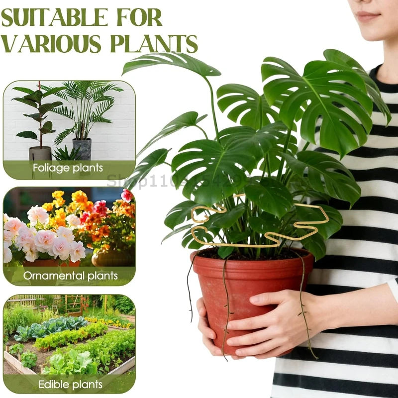 Tutors for Plants Support Adjustable Metal Plant Support Climbing Stem Holder Stabilizer Garden Accessories Garden Stakes