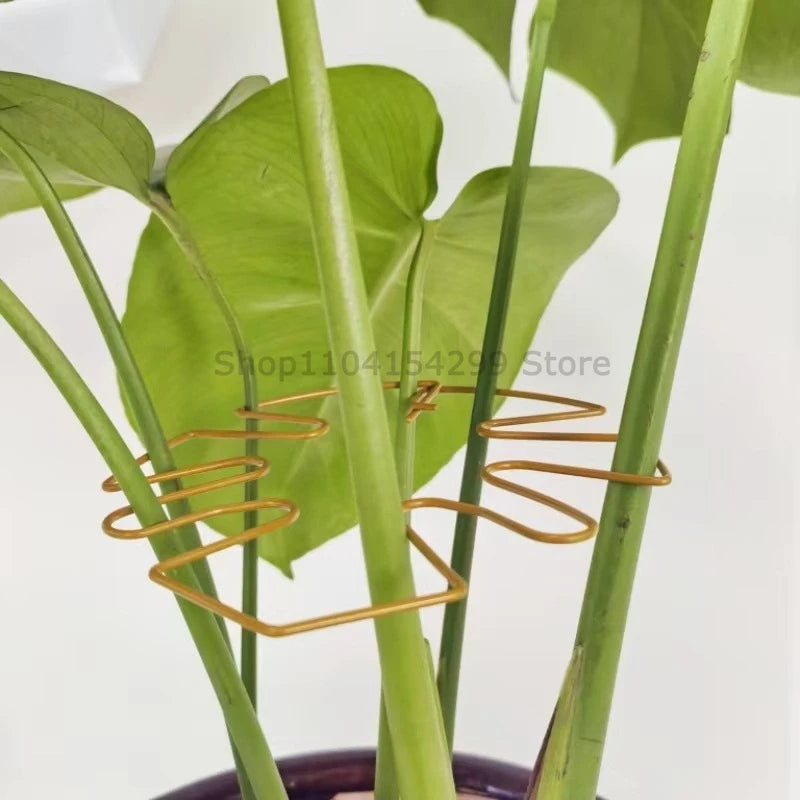 Tutors for Plants Support Adjustable Metal Plant Support Climbing Stem Holder Stabilizer Garden Accessories Garden Stakes