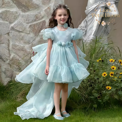 Blue Tulle Gown  Girls' Bow Party Dress Girls' Formal Wear Flower Girl Dress Girls' Princess Dress